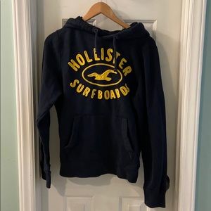 Heavy duty Hollister sweat shirt